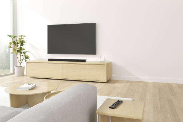TV & Audio Wall Mounting